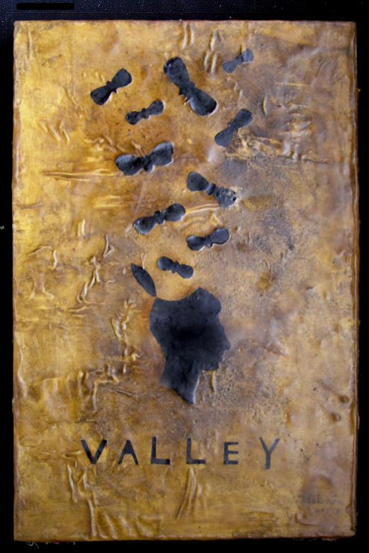 cover for book "valley" 2013