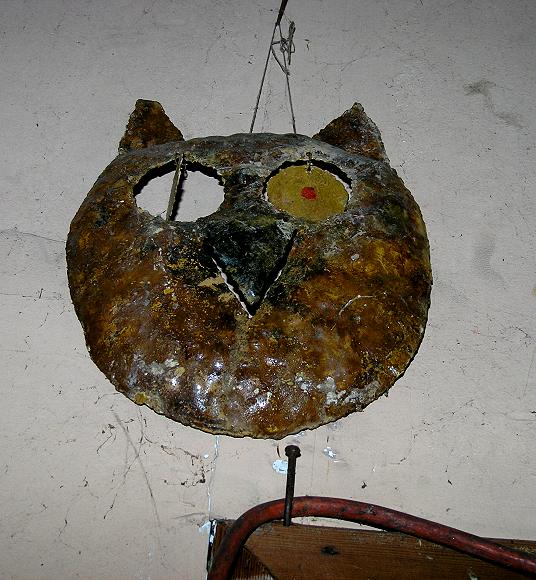 one eyed cat