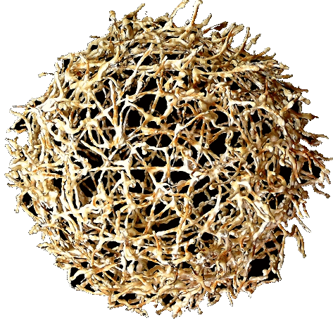 metal ball