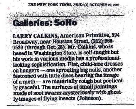 review  NY Times, American Primitive, NYC 2000